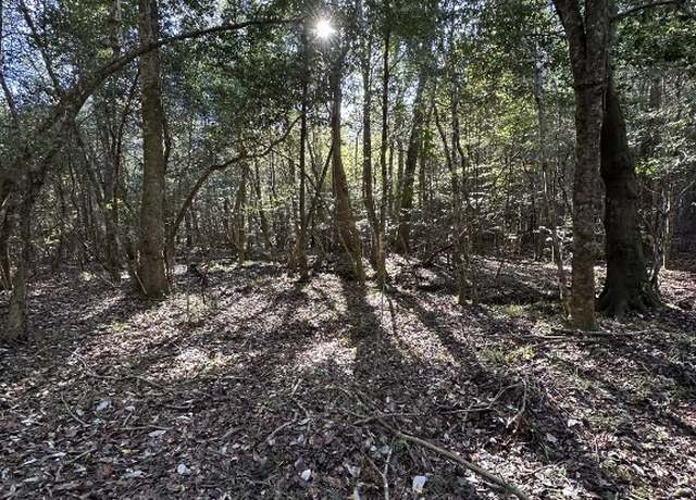 Property at 80 County Road 27 Rd, Clayton, AL 36016