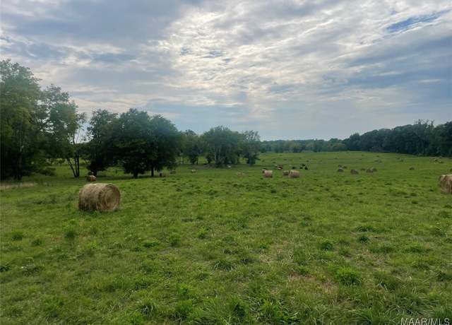 Property at . Main St, AL 36040