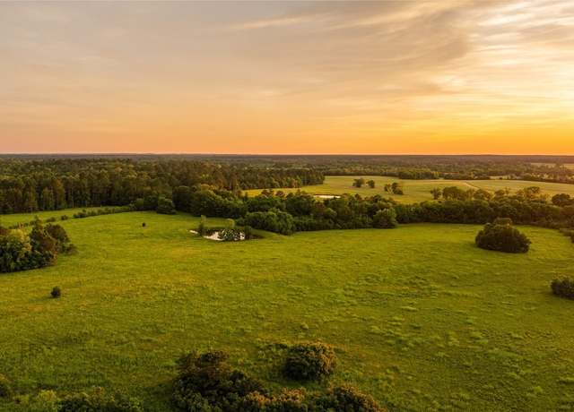 Property at 140 Flowers Rd, Fitzpatrick, AL 36029