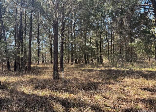 Property at Lot 1 Prairie Bluff Dr, Catherine, AL 36728