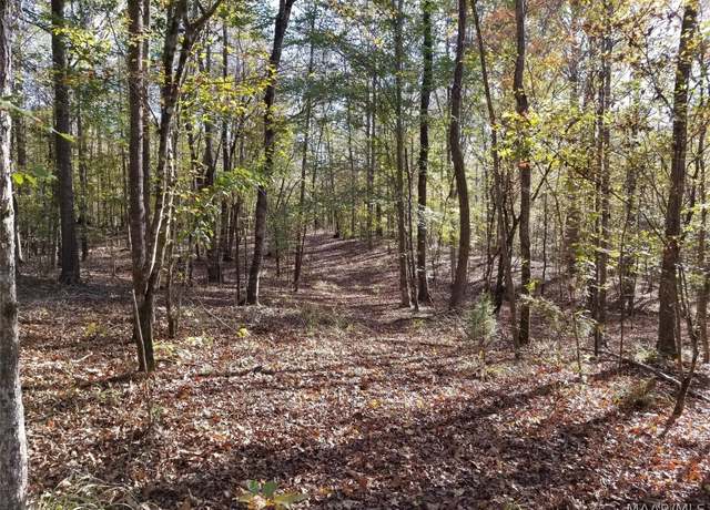 Property at 0 Lakeview Ct, Wetumpka, AL 36092