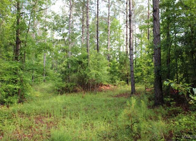 Property at 0 Providence Rd, Rockford, AL 35136