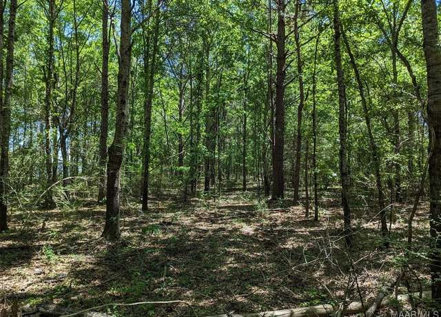 Property at 0 Hope Rd, Wetumpka, AL 36092