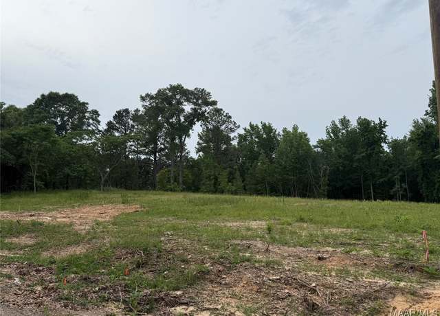 Property at 658 Nichols Ave, Eclectic, AL 36024