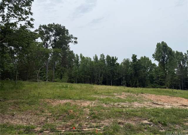 Property at 638 Nichols Ave, Eclectic, AL 36024