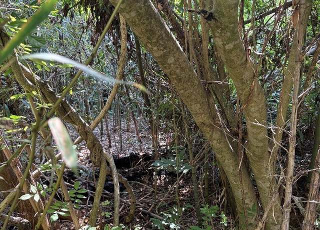 Property at 00 County Road 157 Rd, Selma, AL 36701