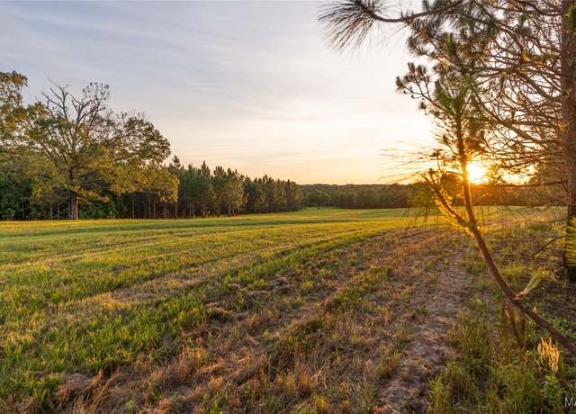 Property at 1 Moore Rd, Grady, AL 36036