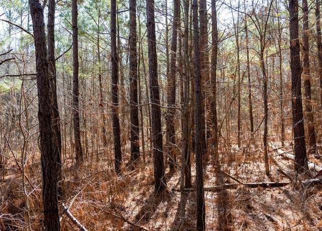 Property at 185 Dam Rd, Wilsonville, AL 35186