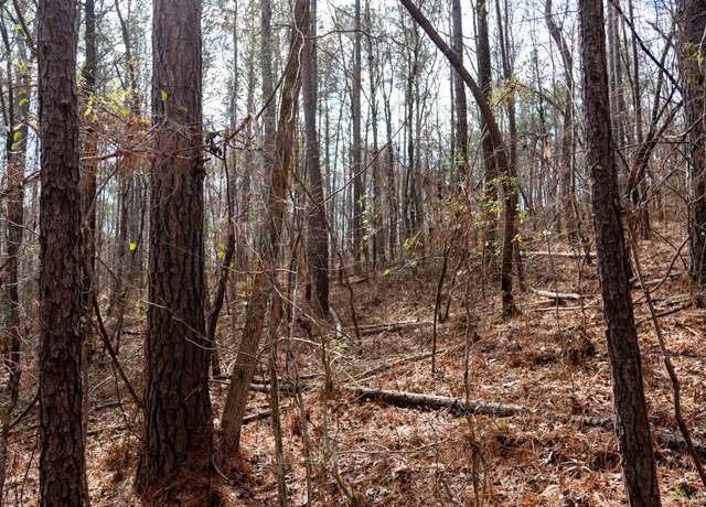 Property at 0 Deer Path, Wilsonville, AL 35186