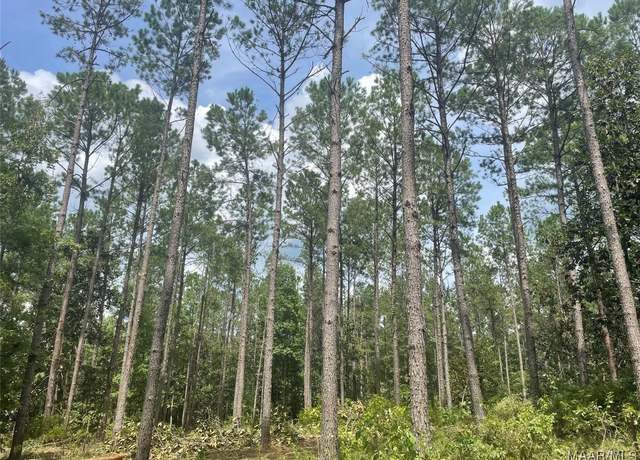 Property at 00 Peake Rd, Pine Level, AL 36065