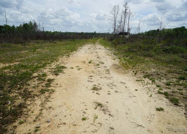Property at 2946 Peake Rd, Pine Level, AL 36069