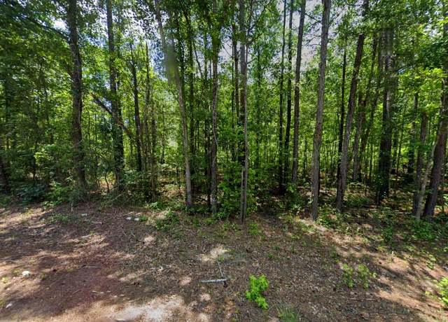 Property at 0 Lee Rd #175, Salem, AL 36874