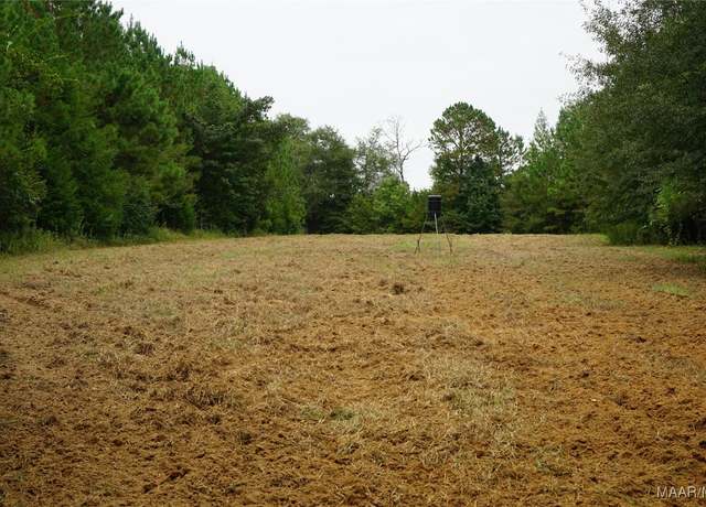 Property at 4180 Highway 131 Rd, Clayton, AL 36016