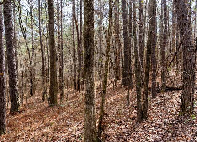 Property at 0 Dove Ct, Wilsonville, AL 35186