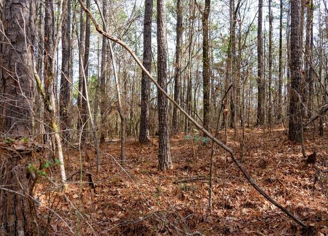 Property at 1 Dove Ct, Wilsonville, AL 35186