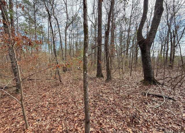Property at 2 Dove Ct, Wilsonville, AL 35186