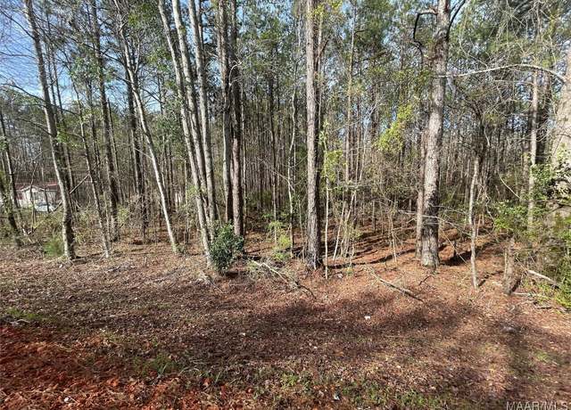 Property at 001 Robinson Rd, Eclectic, AL 36024