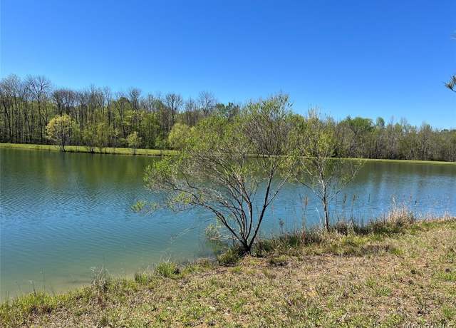 Property at Lot 1 Leahmon Ln, Mathews, AL 36052