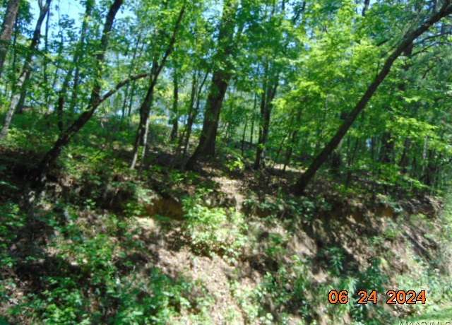Property at 0 County Road 447, Verbena, AL 36091
