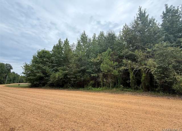 Property at 0 Twin Rivers Dr, Orrville, AL 36767