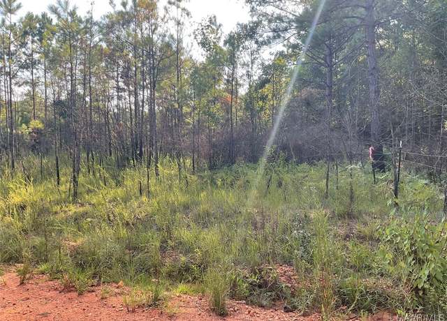 Property at 0 Cleghorn Dr, Tallassee, AL 36078