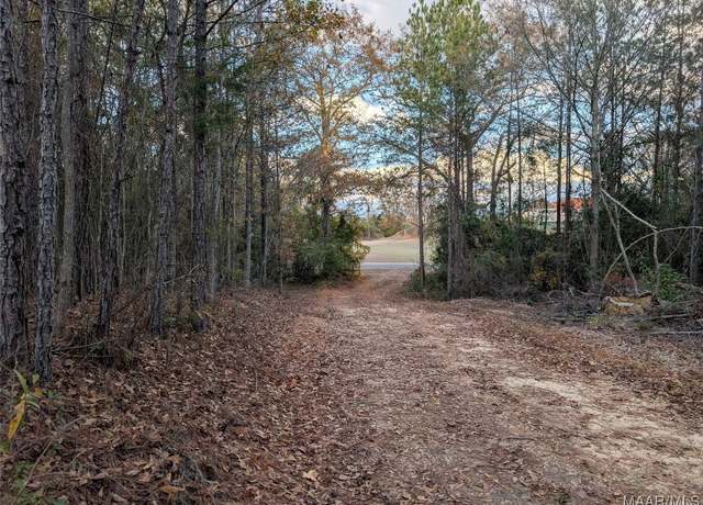 Property at 0 Bear Dr, Billingsley, AL 36006