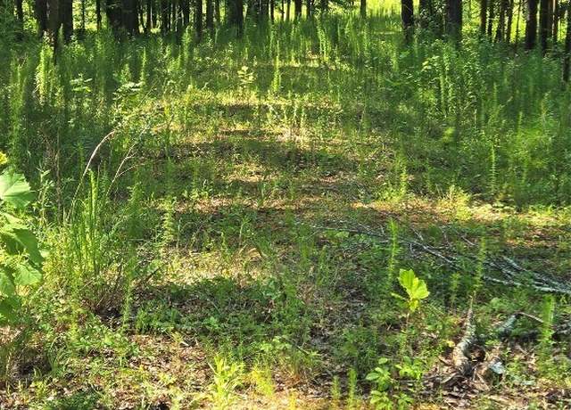 Property at 5 Pugh Rd, Pike Road, AL 36052