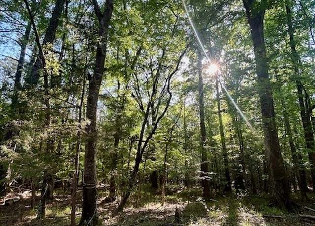 Property at 0 Sherling Lake Rd, Greenville, AL 36037