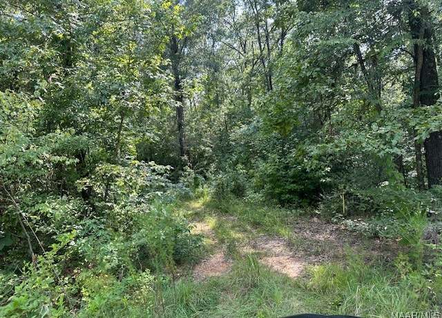 Property at 362 Byrdway Dr, Lowndesboro, AL 36752