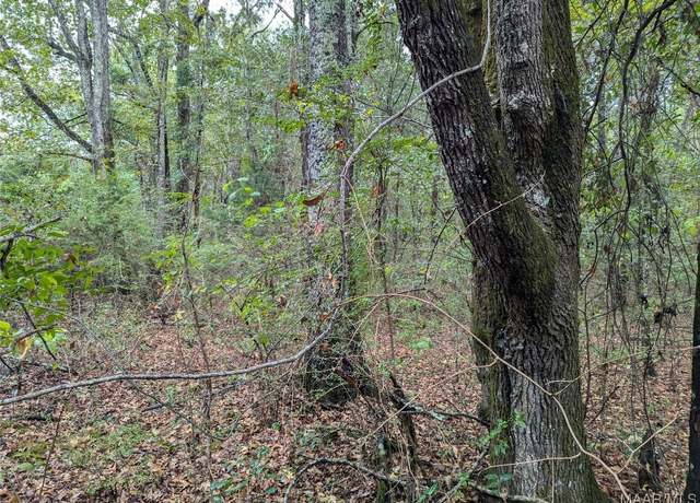 Property at 0 Alpine Dr, Deatsville, AL 36022