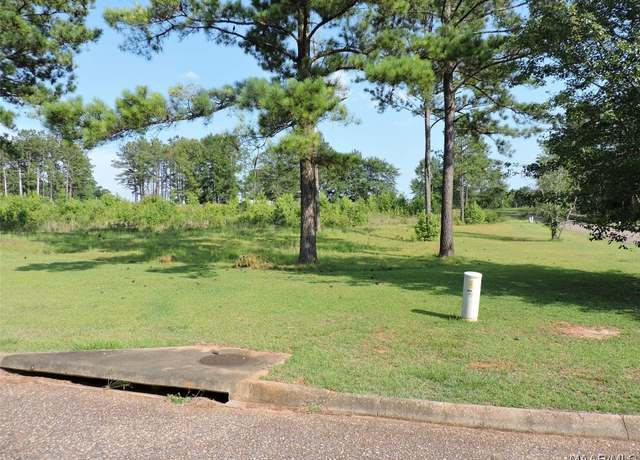 Property at Lot G1 Longleaf Ln, Greenville, AL 36037