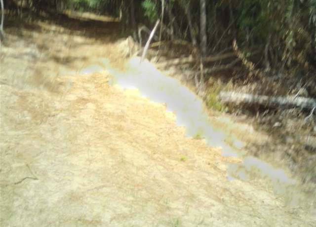 Property at Lot 18 Lakeshore Dr E, Tuskegee, AL 36083