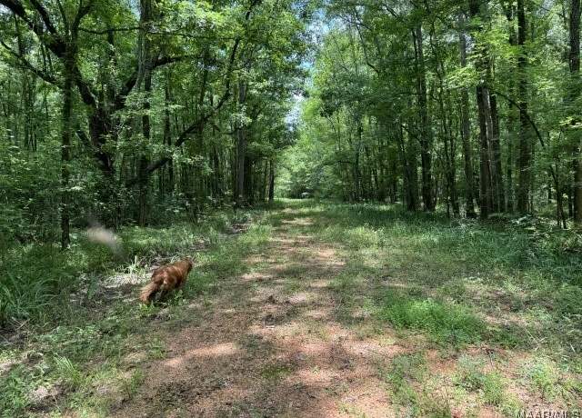 Property at 0 Highway 21, Furman, AL 36768