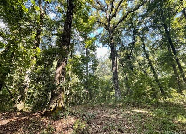 Property at 20 Northington St, Prattville, AL 36067