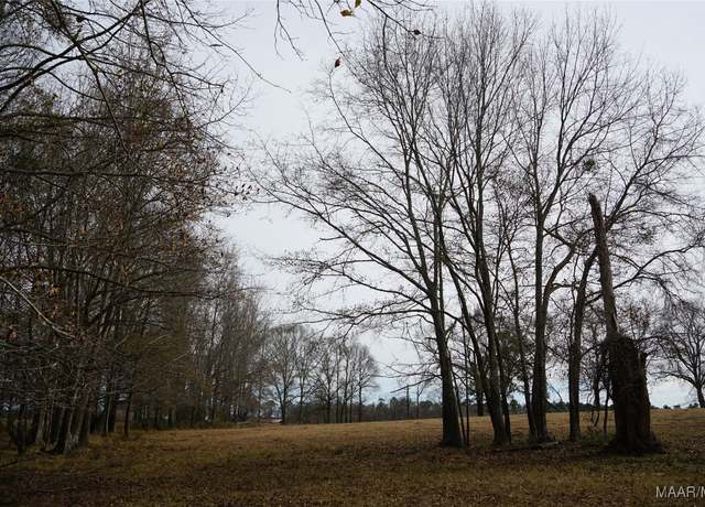 Property at 2434 Peake Rd, Ramer, AL 36069