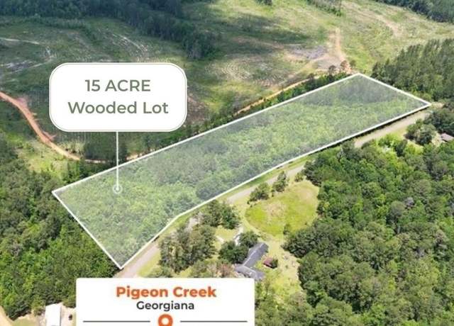 Property at 0 Pigeon Creek Rd, Georgiana, AL 36033
