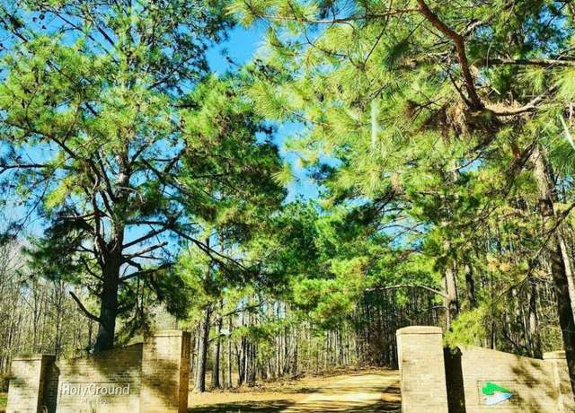 Property at Lot 30A Red Eagle Dr, Lowndesboro, AL 36752