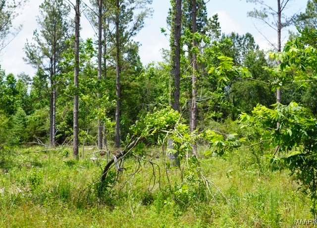 Property at 0 Pineapple Hwy, Forest Home, AL 36030