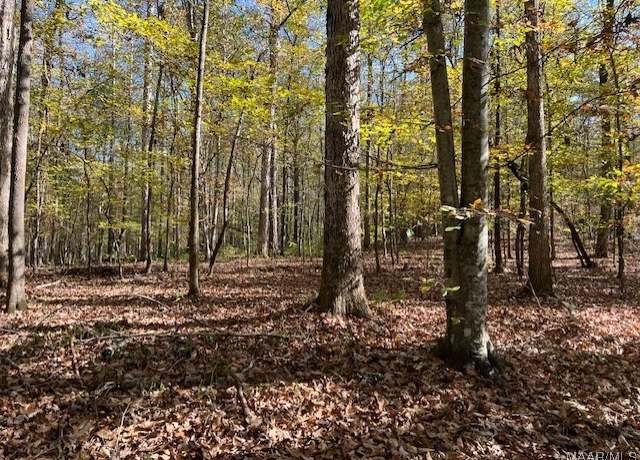 Property at 0 Dorough Rd, Columbiana, AL 35051