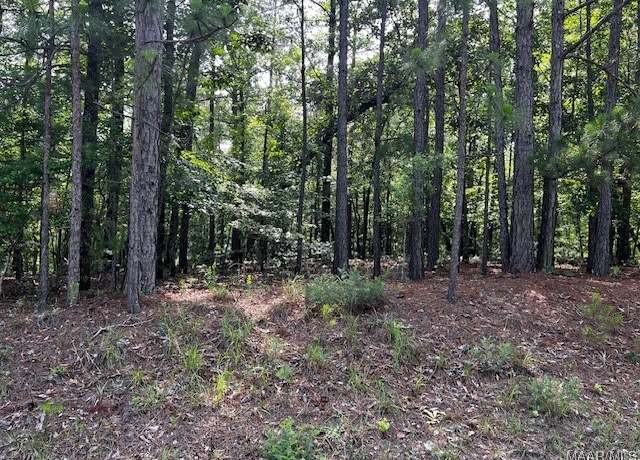 Property at 0 Jimshill Rd, Wetumpka, AL 36092