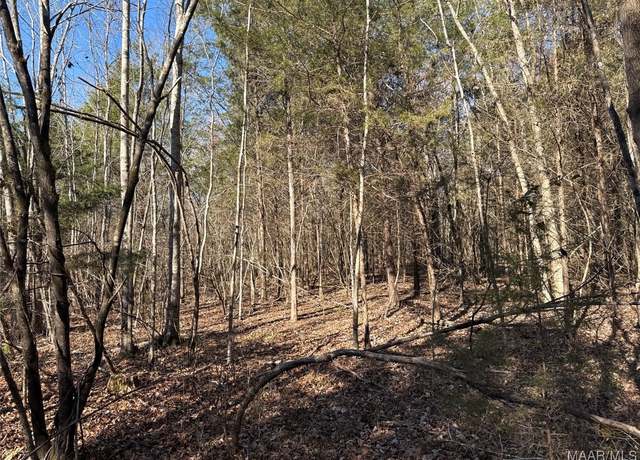Property at 0 County Road 21, Uniontown, AL 36786