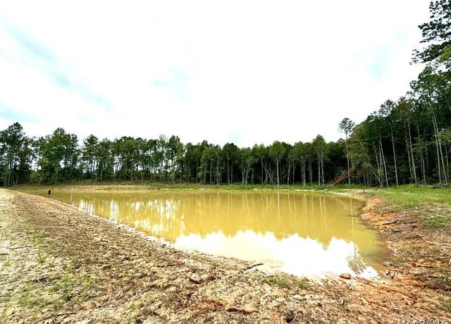 Property at 100 Highway 29, Union Springs, AL 36089