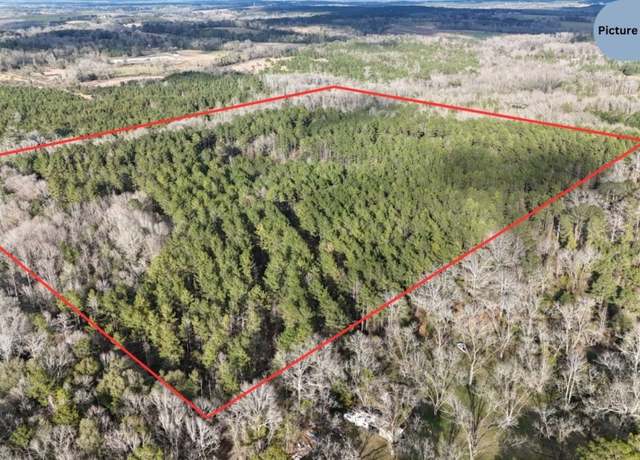 Property at 44 Highway 10 Aly, Blue Springs, AL 36017