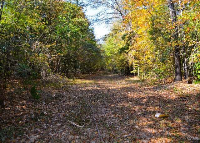 Property at 00 Kelly Bottom Rd, Deatsville, AL 36022