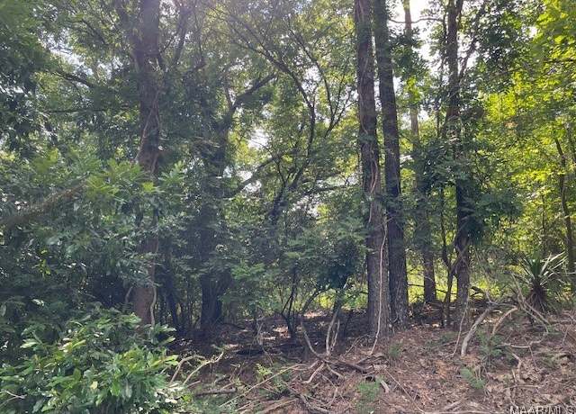 Property at LOT 11 Busch Hill Rd, Wetumpka, AL 36093