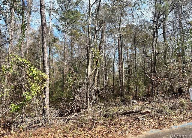 Property at 0 Wood Valley Dr, Greenville, AL 36037