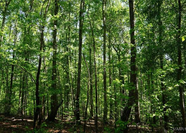Property at 2892 Peake Rd, Pine Level, AL 36093