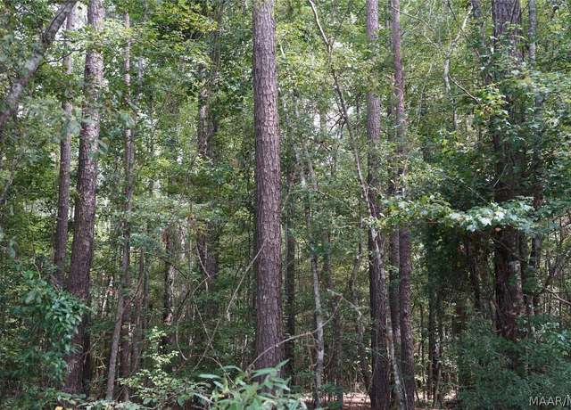 Property at 0 Opossum Branch Rd, Brantley, AL 36009