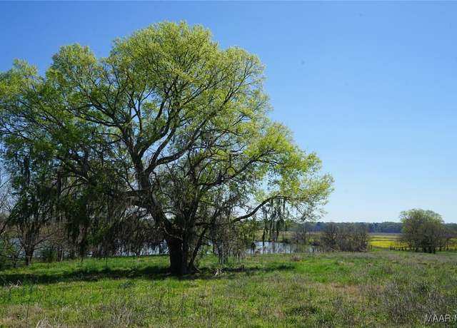 Property at 9445 Woodley Rd, Ramer, AL 36069