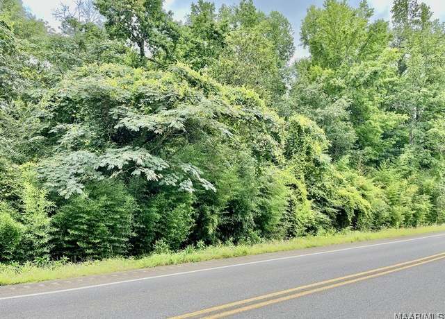 Property at 1 Highway 9, Equality, AL 36026
